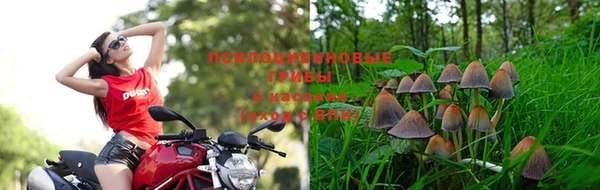 мескалин Володарск